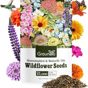 Wildflower Seeds – Hummingbird & Butterfly Mix