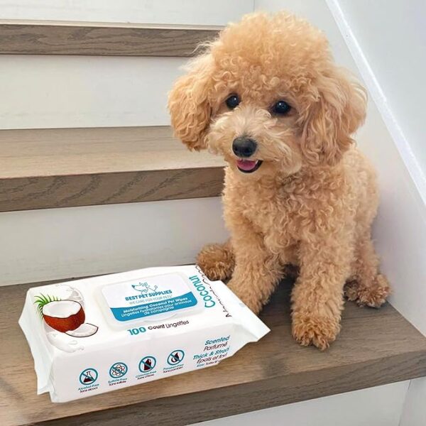 Best Pet Supplies Dog Wipes – Coconut Scent, 100 Count - Image 3