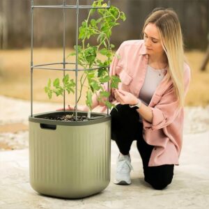 Vego Garden tomato planter box with trellis in sage green – self-watering rolling raised bed for climbing vegetables and plants on patio or balcony Image resources From Amazon